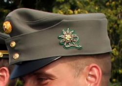Edelweiss mit Egalisierung auf den Gebirgskappen der 6. Jägerbrigade - Foto BMLV